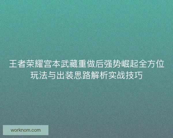 王者荣耀宫本武藏重做后强势崛起全方位玩法与出装思路解析实战技巧